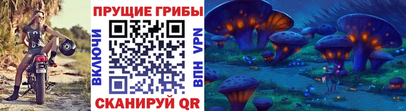 Галлюциногенные грибы Cubensis что такое наркотик Сухой Лог