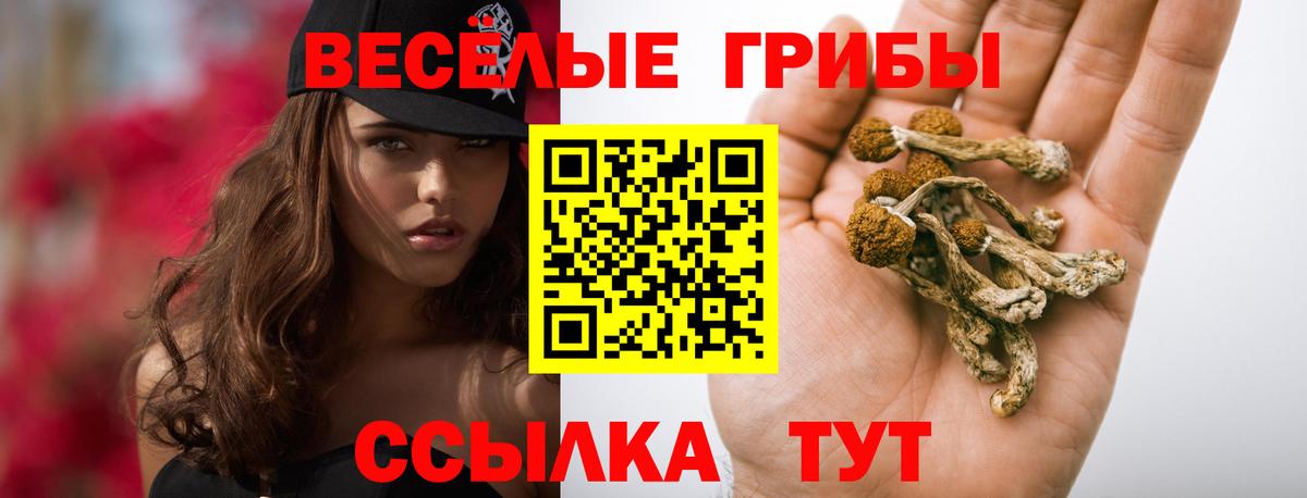 Сухой Лог  Псилоцибиновые грибы GOLDEN TEACHER  Вход с VPN 